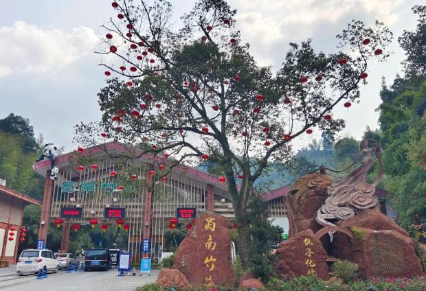李庄→蜀南竹海包车一日游 | 穿越千年古镇，邂逅翡翠竹海